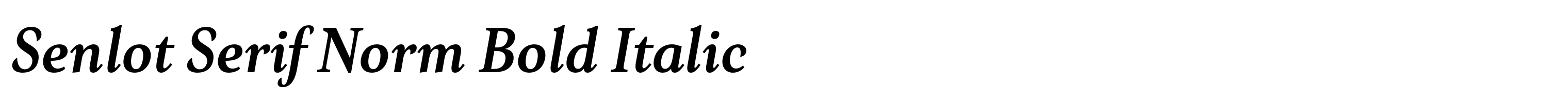 Senlot Serif Norm Bold Italic